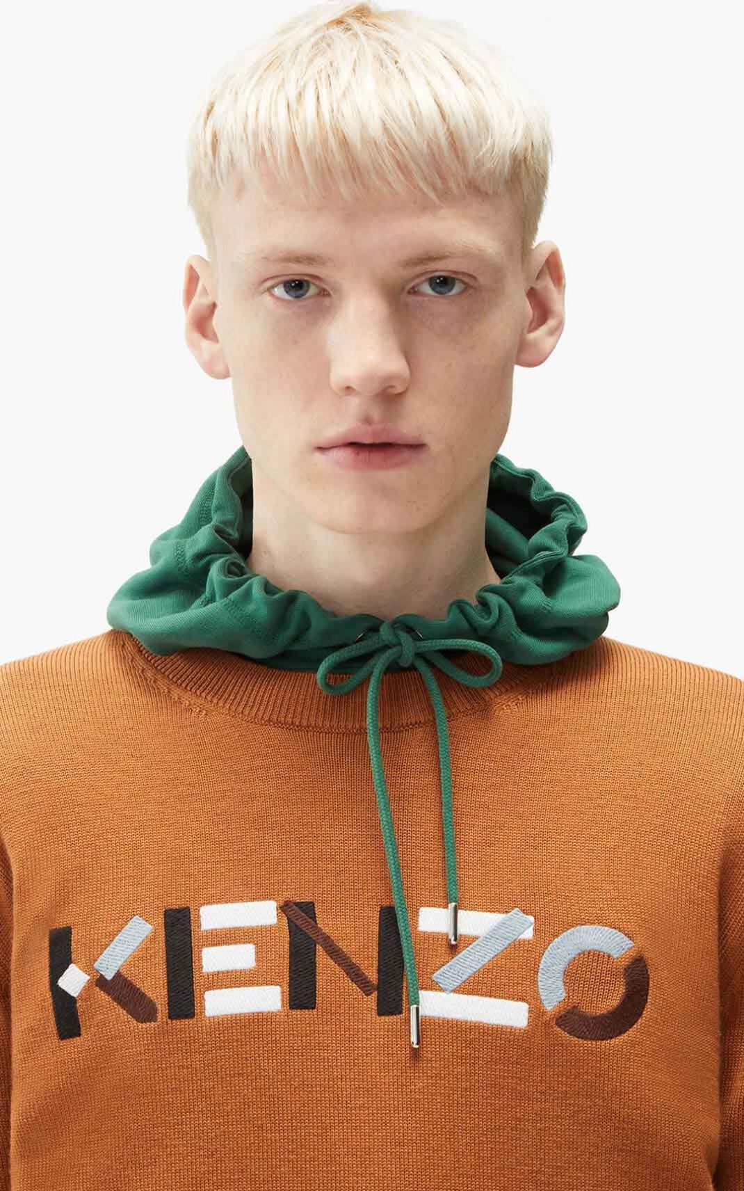 Kenzo Logo merino wool セーター メンズ ブラウン - YDZWPB610